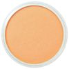 PanPastel Pearlescent Orange