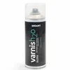 Ghiant Sprayfernissa H2O GLOSS