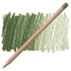 Färgpenna Caran dAche Luminance Moss Green