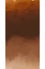 Williamsburg Artists Oil S3 - Italian Burnt Sienna 0023