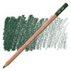 Pastellpenna Caran d'Ache Pastel pen Dark Green