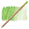Pastellpenna Caran d'Ache Pastel pen  Middle Moss Green 10%