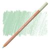 Pastellpenna Caran d'Ache Pastel pen Earth Green
