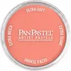 PanPastel - 310.6 Vermilion Medium