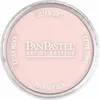 PanPastel - 310.8 Vermilion Tint