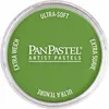 PanPastel - 690.3 Yellow Green Shade