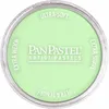 PanPastel - 690.8 Yellow Green Tint