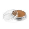 PanPastel - 710.3 Raw Sienna Shade