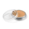 PanPastel - 710.7 Raw Sienna Light