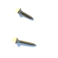 Tr&auml;skruv f&ouml;rs&auml;nkt 20*3.0mm