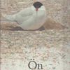 Lars Jonsson - Ön, bilder från en sandrevel