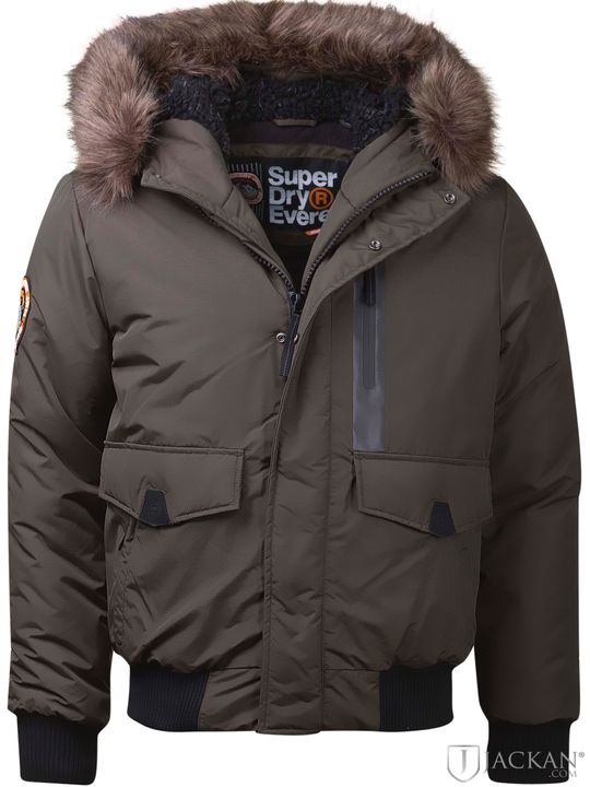 Everest Bomber in khaki von Superdry | Jackan.com