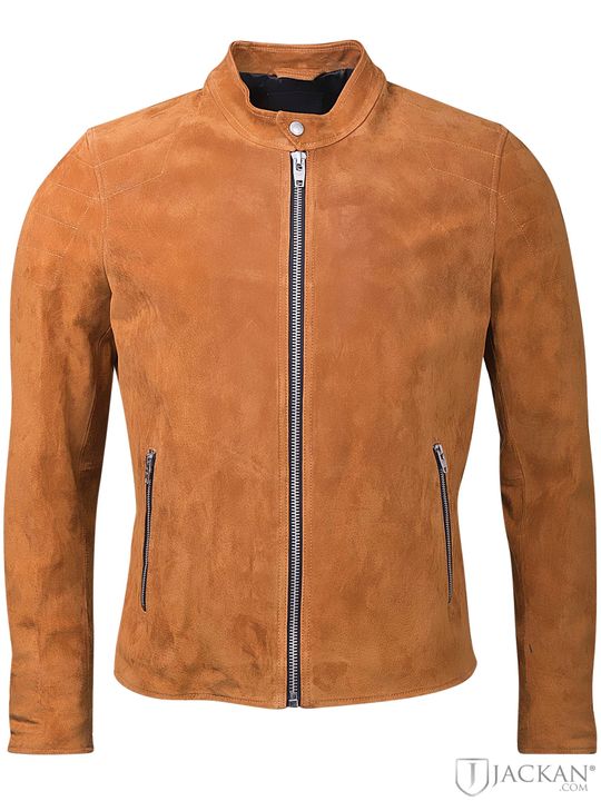 Ramone Pig 2019 in tobak von Rock And Blue | Jackan.com