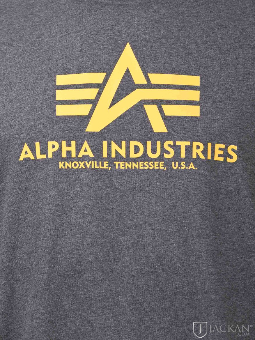 Graues Basic T-Shirt Grau-Gelb von Alpha Industries | Jackan.com