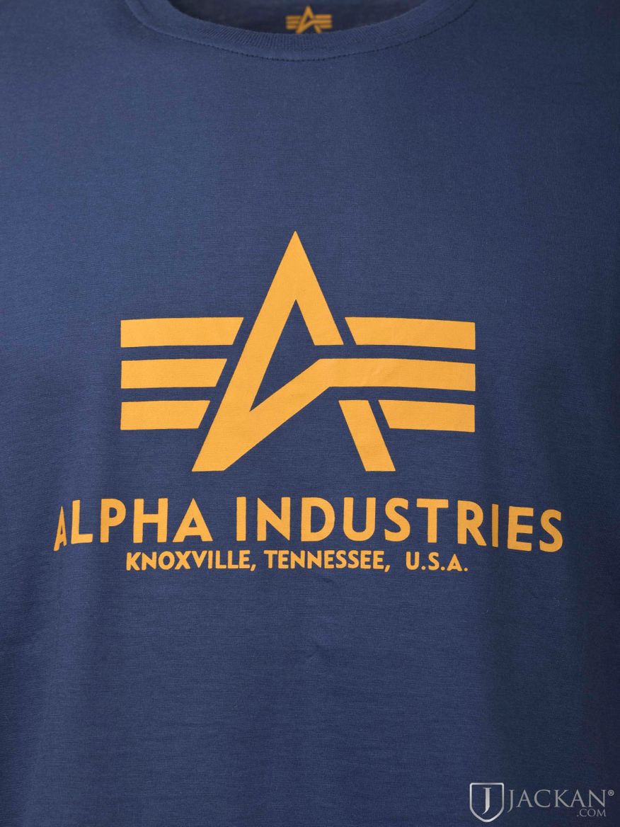Graues Basic T-Shirt blau-gelb von Alpha Industries | Jackan.com
