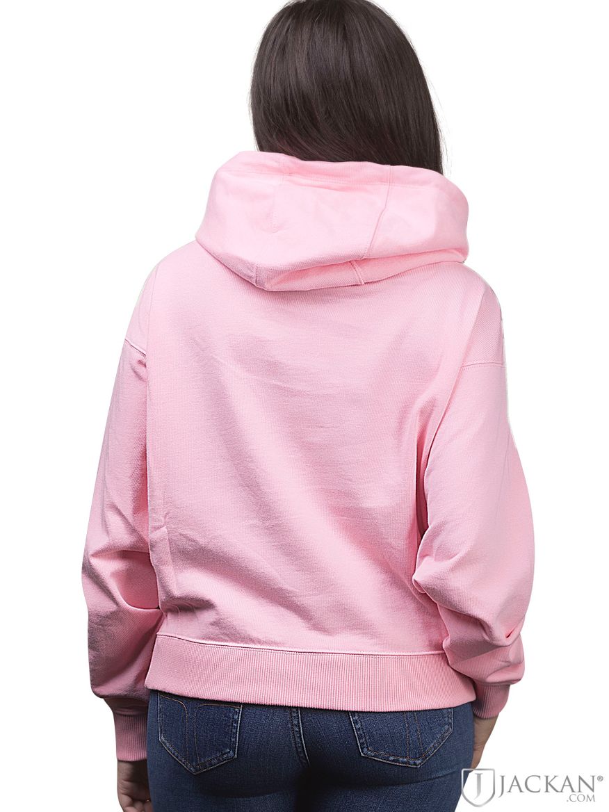 Zaira Hoodie in rosa von Champion | Jackan.com