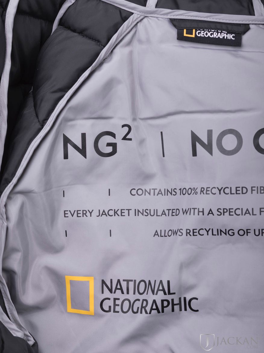 No Goose in schwarz von National Geographic| Jackan.com
