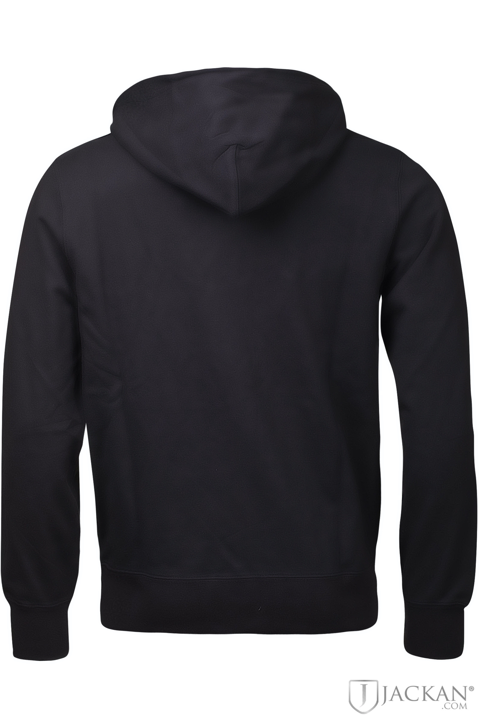 Miami Hoodie in schwarz von Champion Jackan