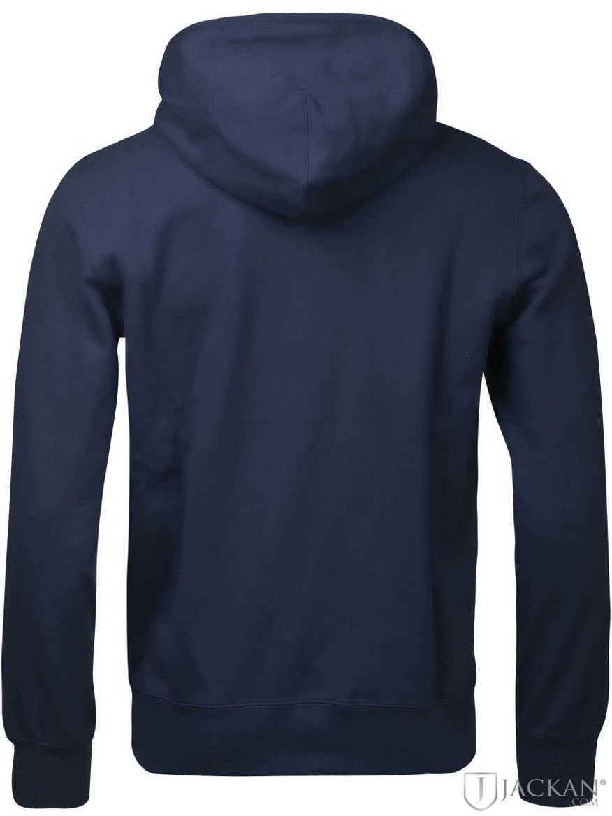 Gregory hoodie i blått från Champion| Jackan.com