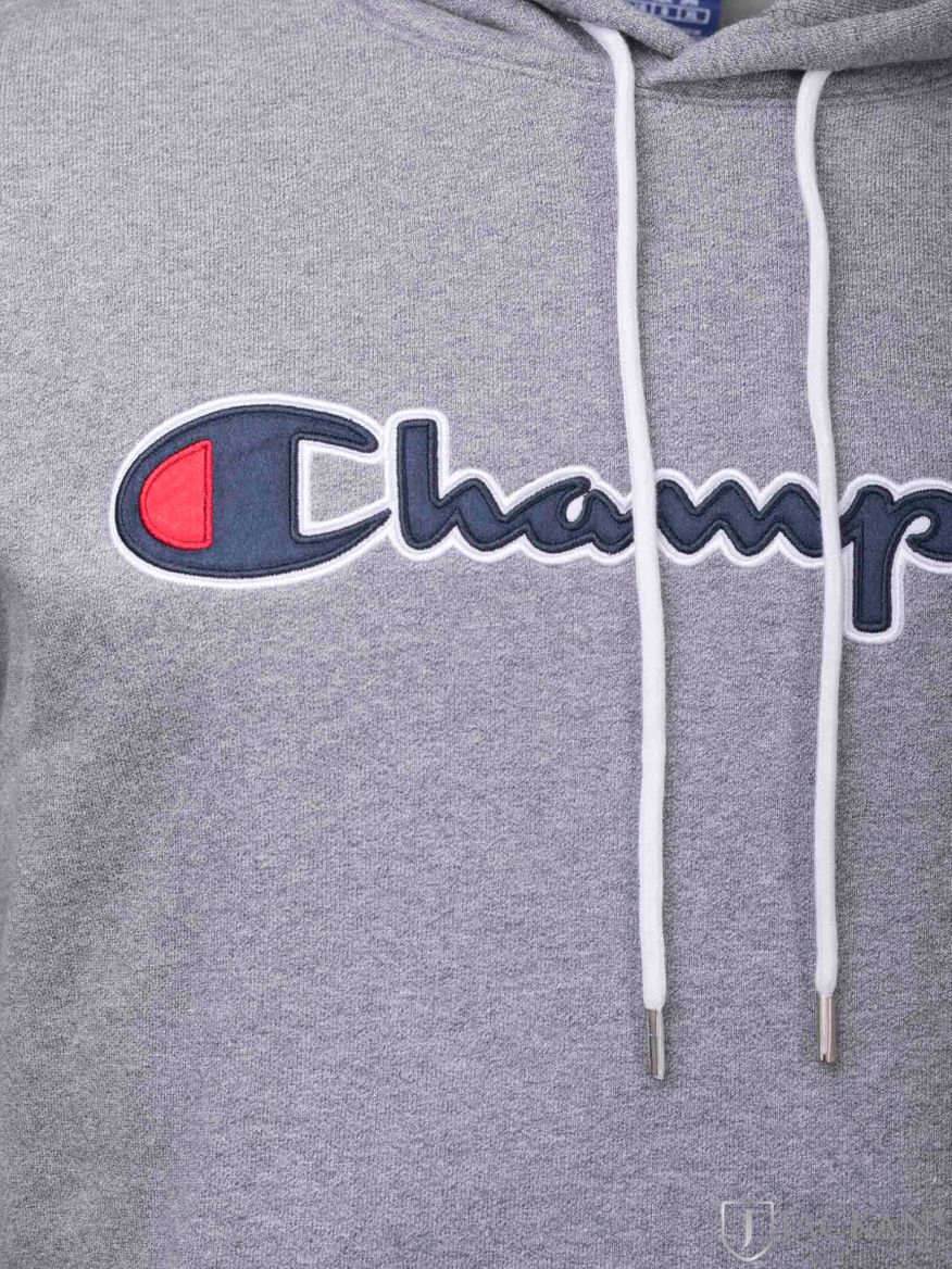 Gregory hoodie i grått från Champion | Jackan.com