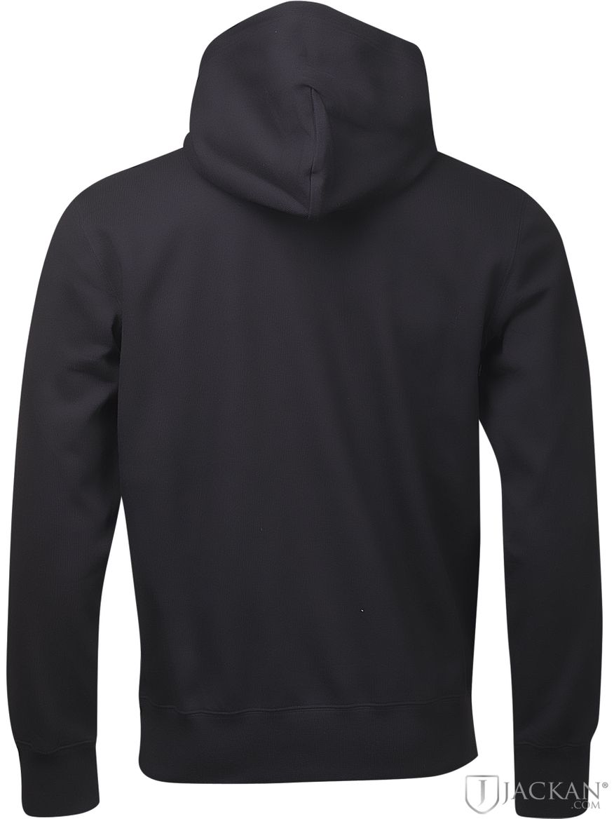 Gregory hoodie in schwarz von Champion | Jackan.com