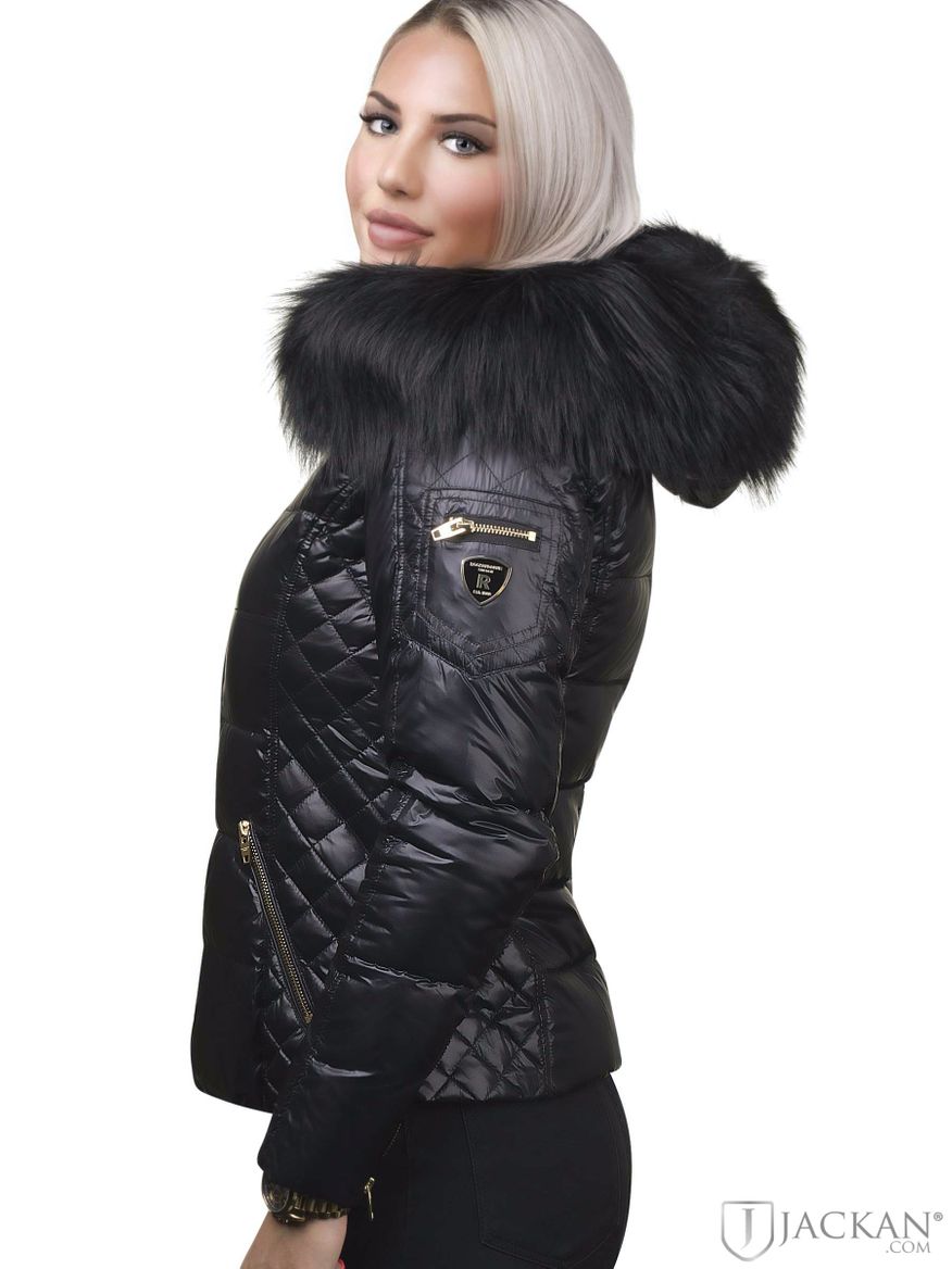 Rita Real Fur in schwarz/schwarz von Rock And Blue | Jackan.com