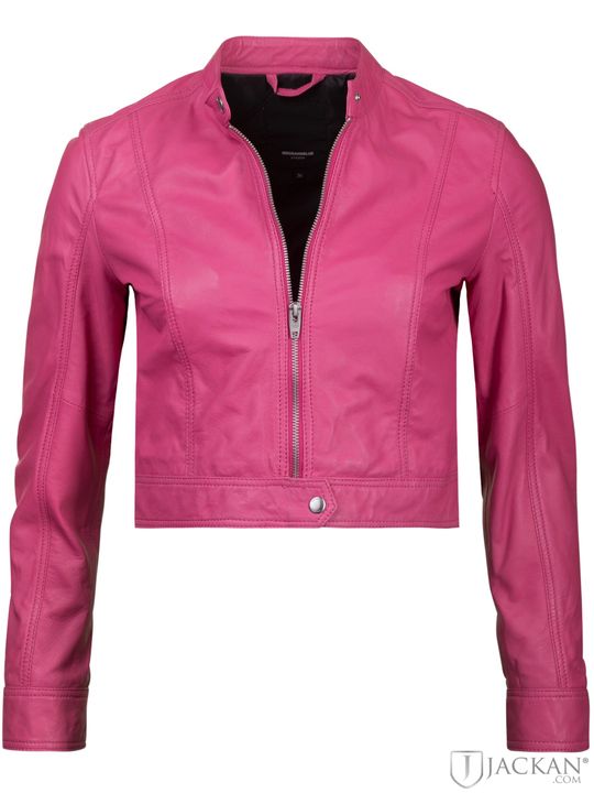 Tyra cropped Jacket in Rosa von Rock And Blue | Jackan.com