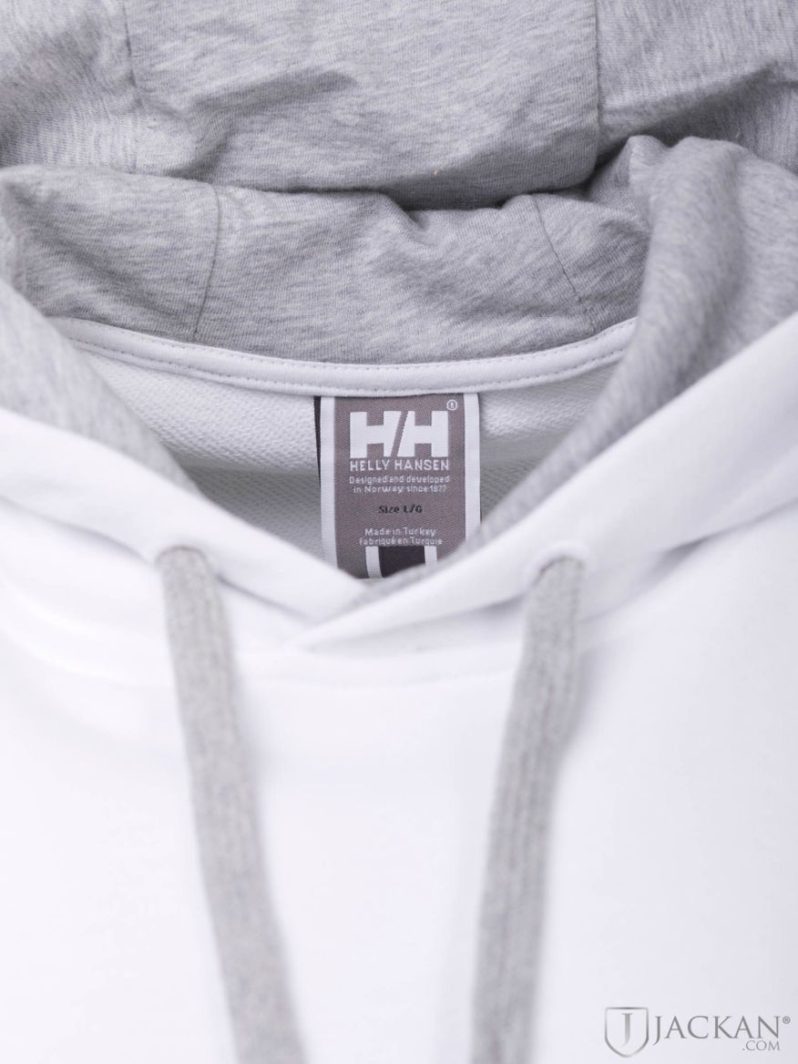 HH Logo Hoodie in weiss von Helly Hansen | Jackan.com