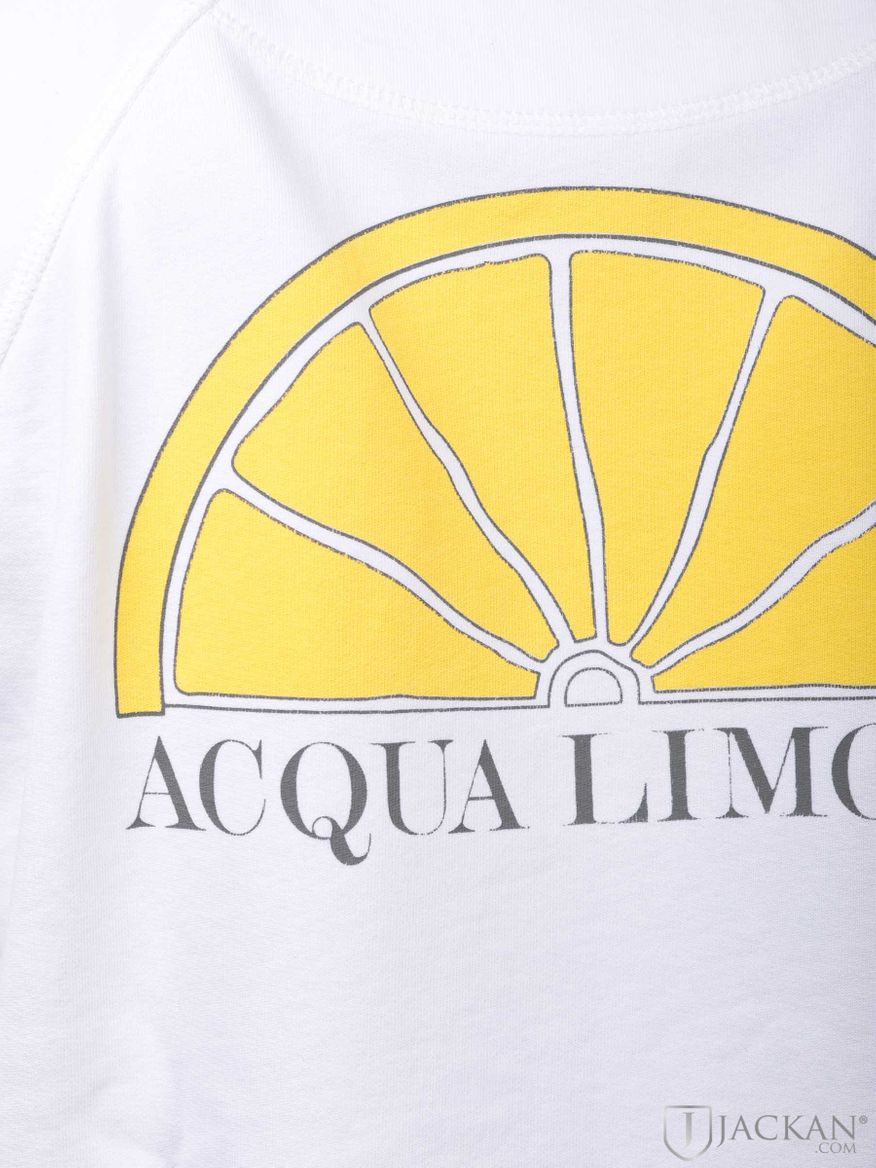 College Classic in weiß von Acqua Limone | Jackan.com