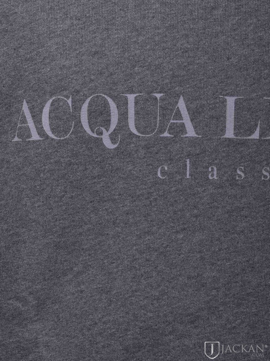 College Classic in grau von Acqua Limone | Jackan.com