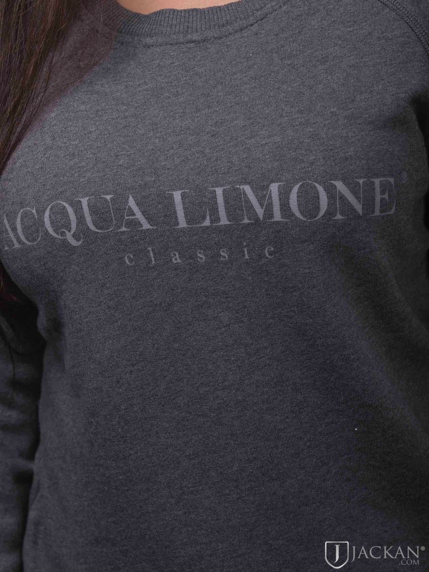 College Classic in dunkelgrau von Acqua Limone | Jackan.com
