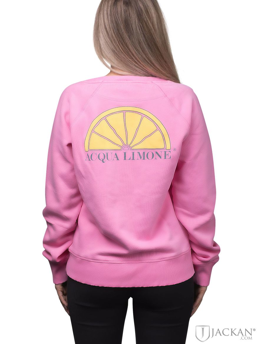 College Classic in rosa von Acqua Limone | Jackan.com