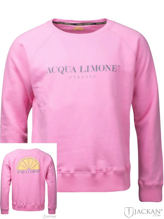 College Classic in pink von Acqua Limone | Jackan.com