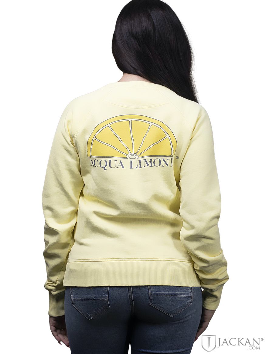 College classic rib in lemon von Acqua Limone | Jackan.com