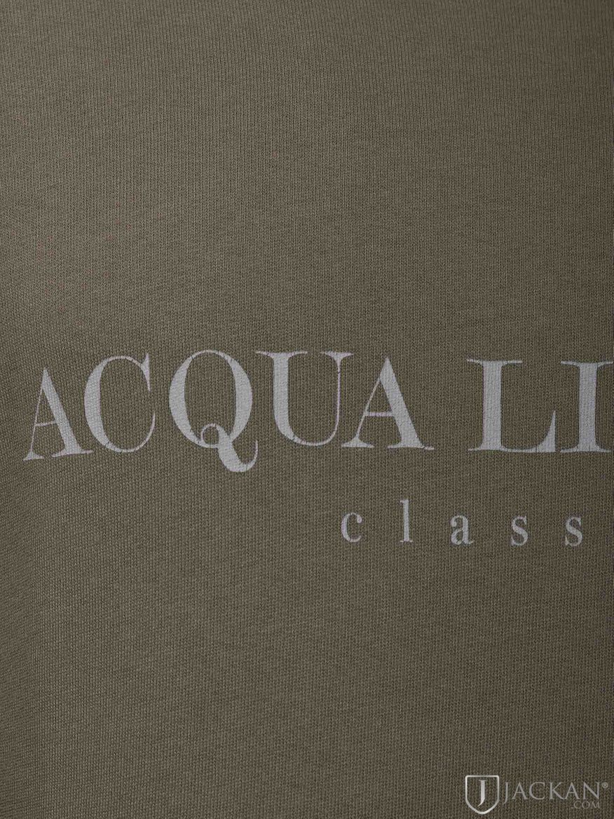 College Classic in olivgrün von Acqua Limone | Jackan.com