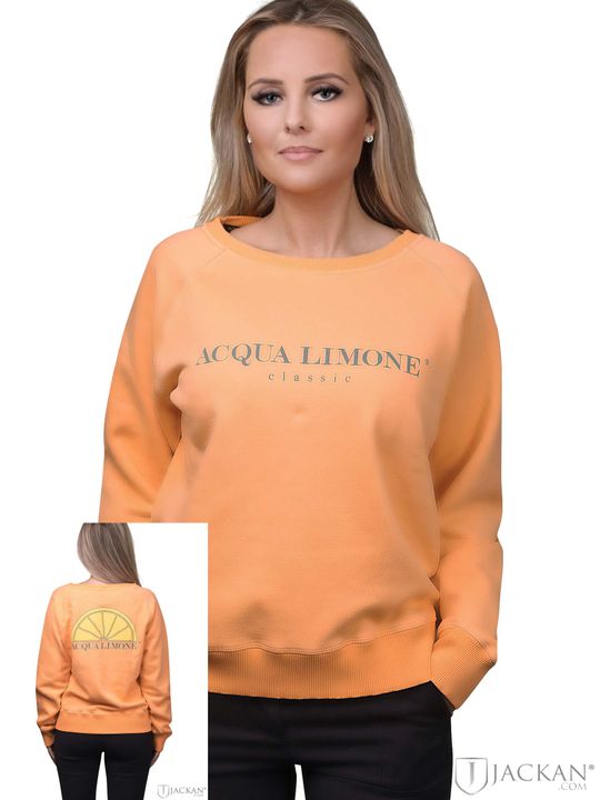 College Classic in orange von Acqua Limone | Jackan.com