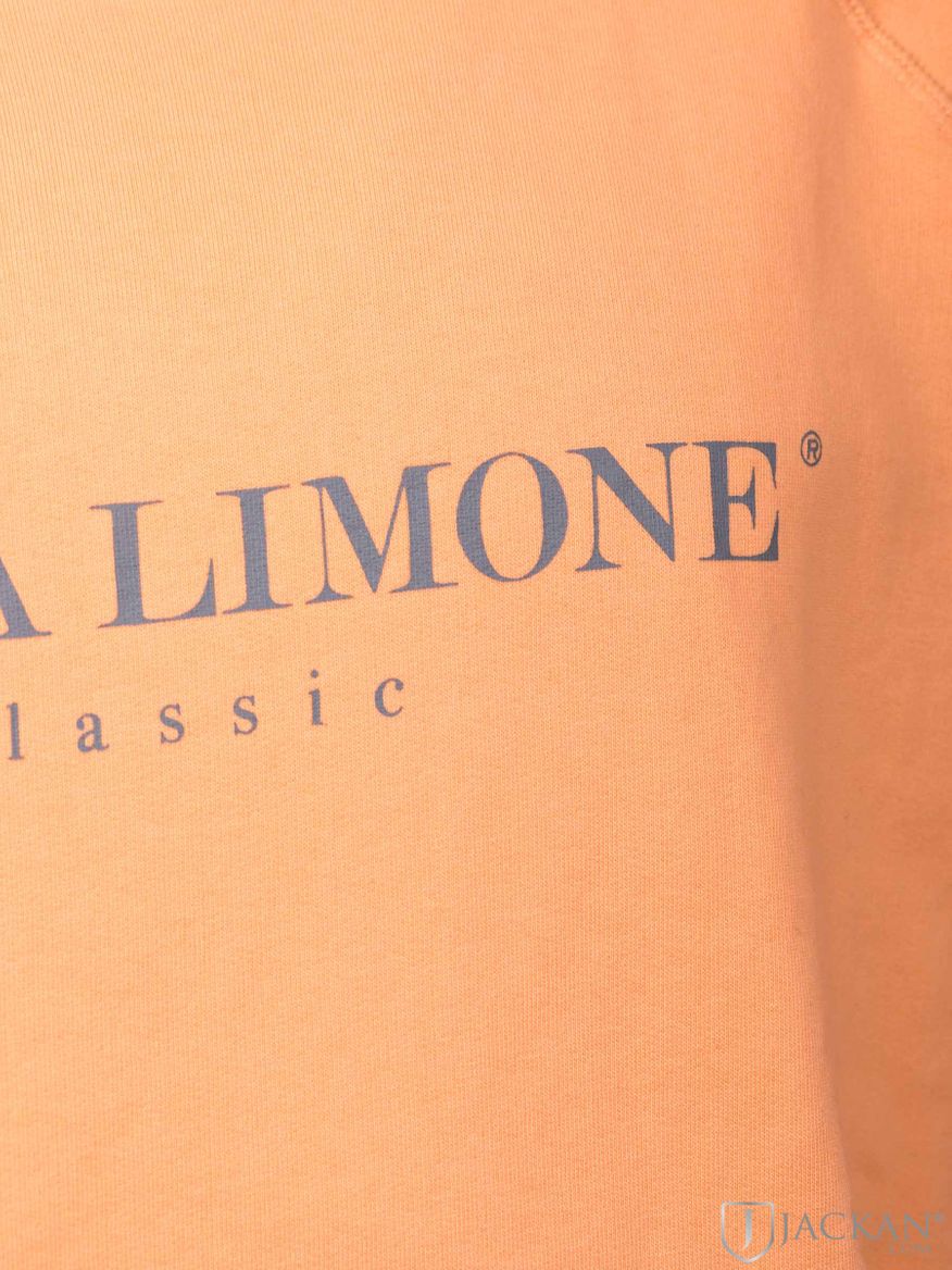 College Classic in orange von Acqua Limone | Jackan.com
