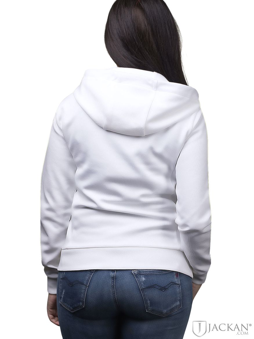 Ladies Sweatshirt  in weiss von Colmar | Jackan.com