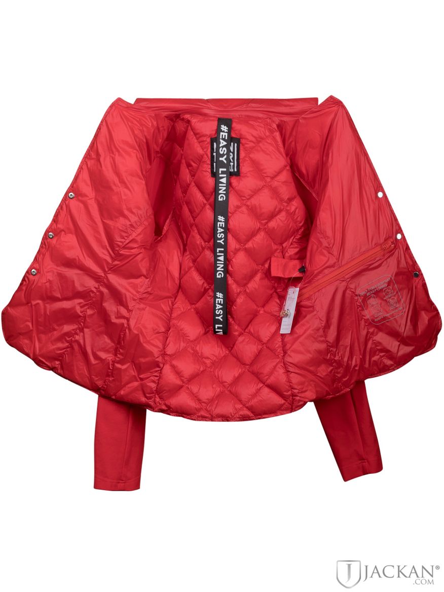 Humour Jacket in rot von Montereggi | Jackan.com