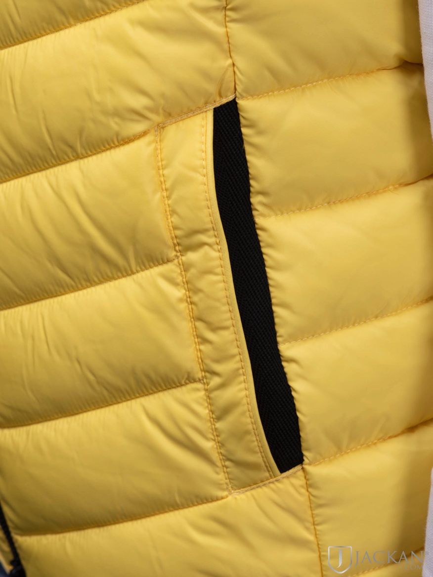 Puffer Vest in gelb von National Geographic| Jackan.com