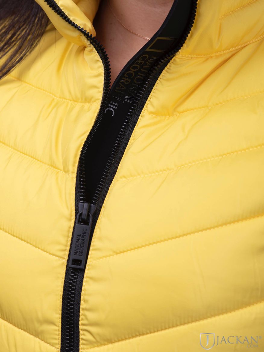 Puffer Vest in gelb von National Geographic| Jackan.com