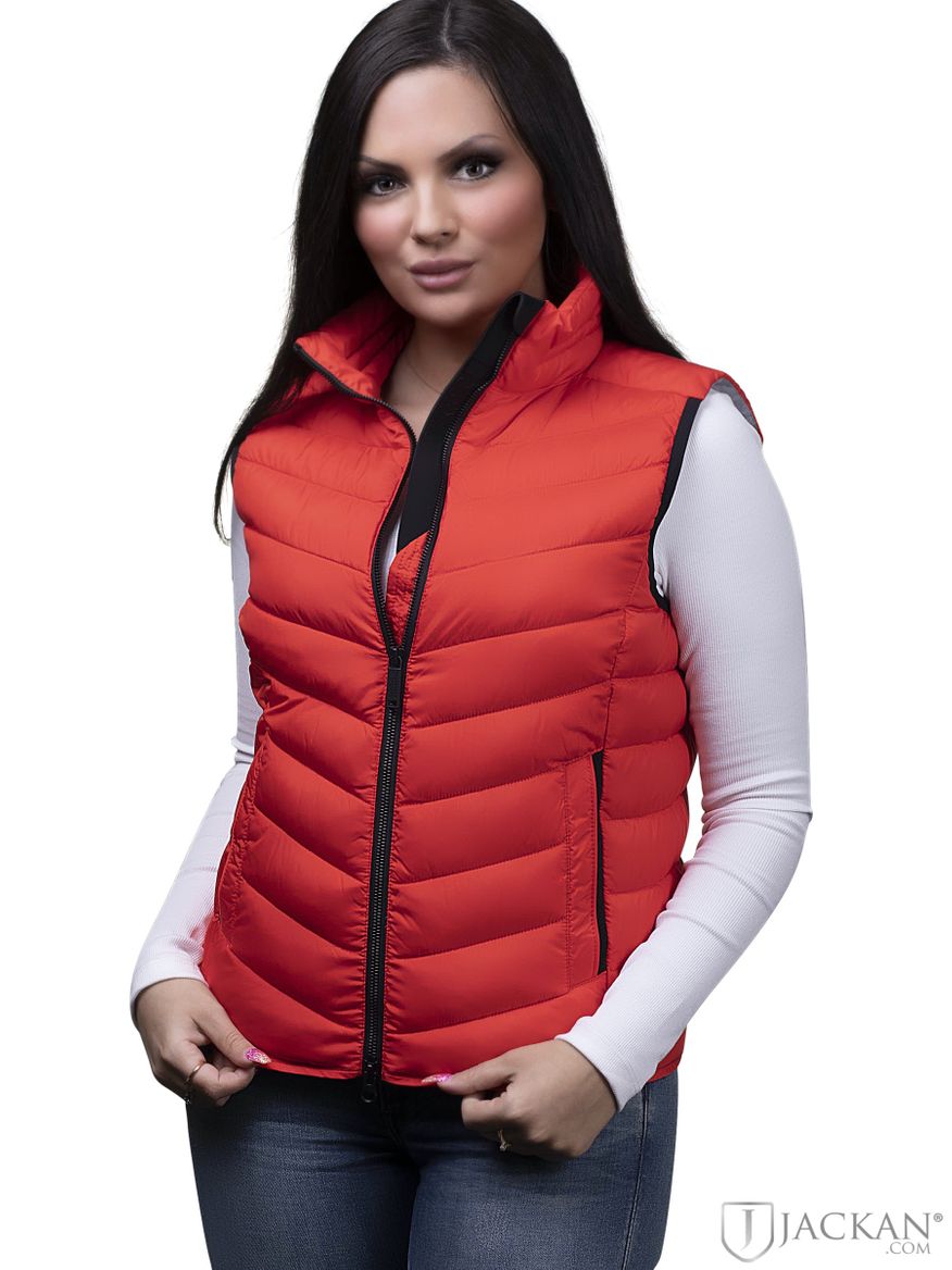 Puffer Vest in rot von National Geographic| Jackan.com