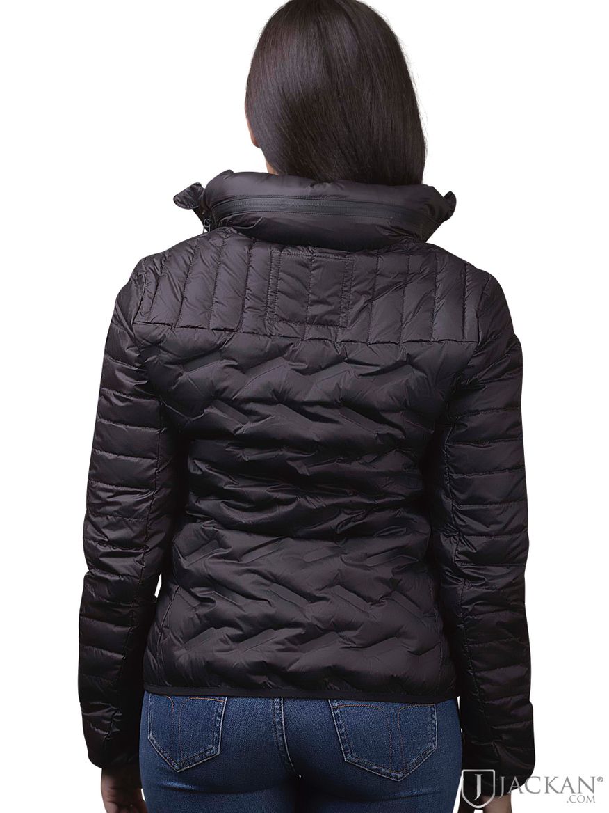 Ls Essential Radar Down in schwarz von Superdry | Jackan.com