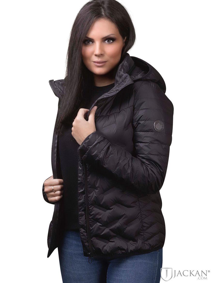 Superdry essentials store radar jacket