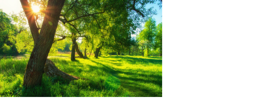 Natur