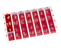 Pill Box L