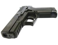 SIG SAUER P2022 - HPA
