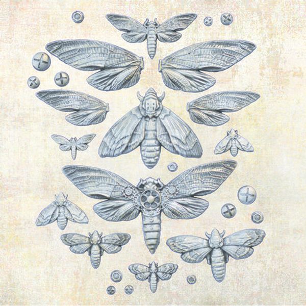 Prima - Finnabair Decor Moulds 5X8 - Nocturnal Insects 969417