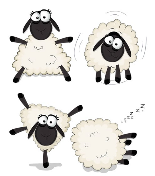 DIE – Sheep