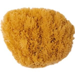 Natural Sponge 17cm | Sufraco House of Fine Brands